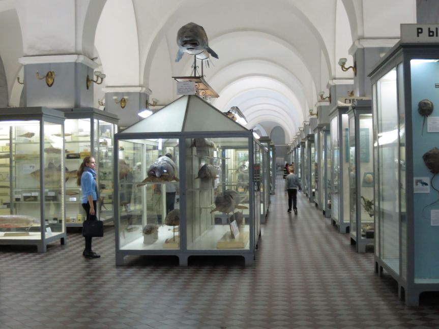 czoological-museum